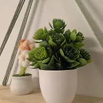 Polvora, Junto Al Puente Κόρδοβα