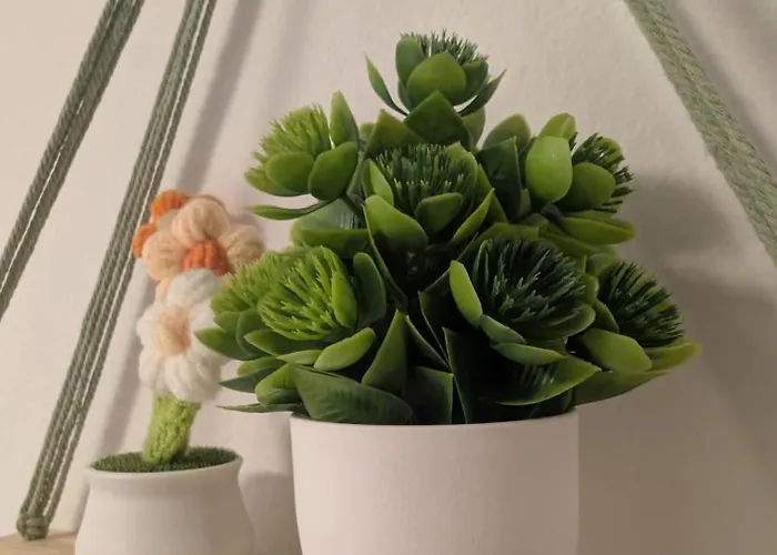 Polvora, Junto Al Puente 科爾多瓦